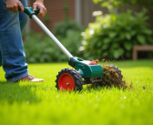 Scarifier la pelouse : meilleur moment, conseils et technique