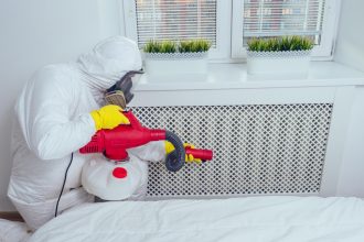 Nuisibles à la maison en Ille-et-Vilaine : comment les détecter et quand faire appel à un professionnel ?
