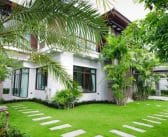 Quelles plantes choisir pour un jardin moderne ?